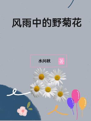 风雨中的羊羔阿忠vlog