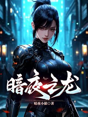 暗夜之罪